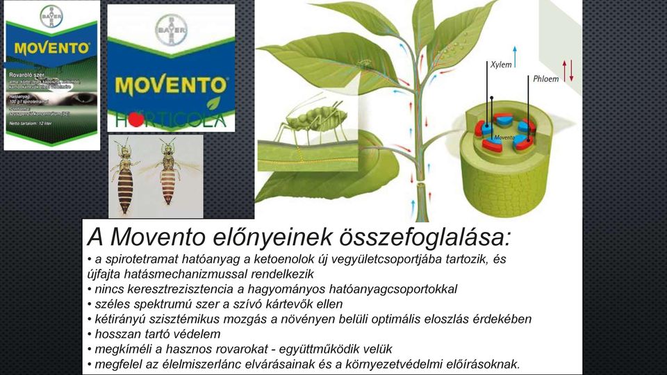 szívó kártevők ellen kétirányú szisztémikus mozgás a növényen belüli optimális eloszlás érdekében hosszan tartó védelem