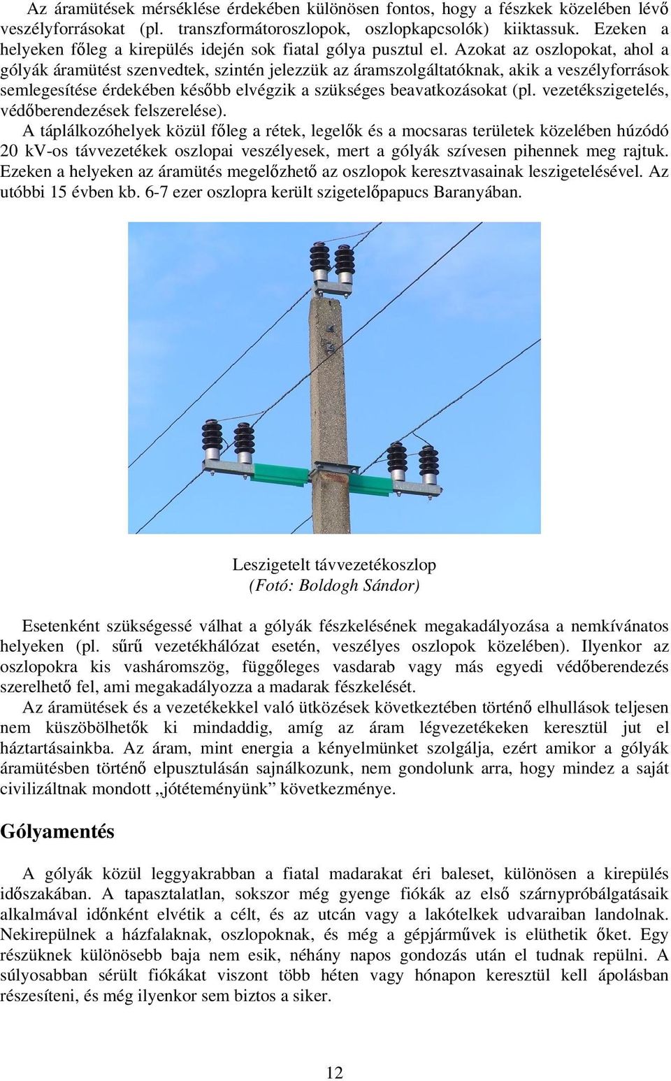 Azokat az oszlopokat, ahol a gólyák áramütést szenvedtek, szintén jelezzük az áramszolgáltatóknak, akik a veszélyforrások semlegesítése érdekében később elvégzik a szükséges beavatkozásokat (pl.