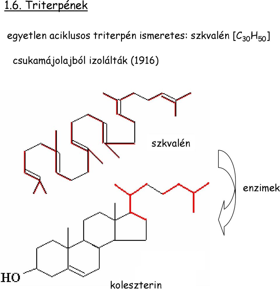 szkvalén [C 30 50 ]