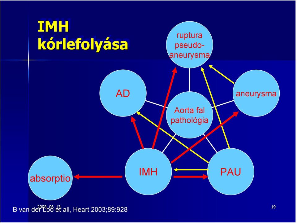 fal pathológia absorptio IMH PAU 2008.