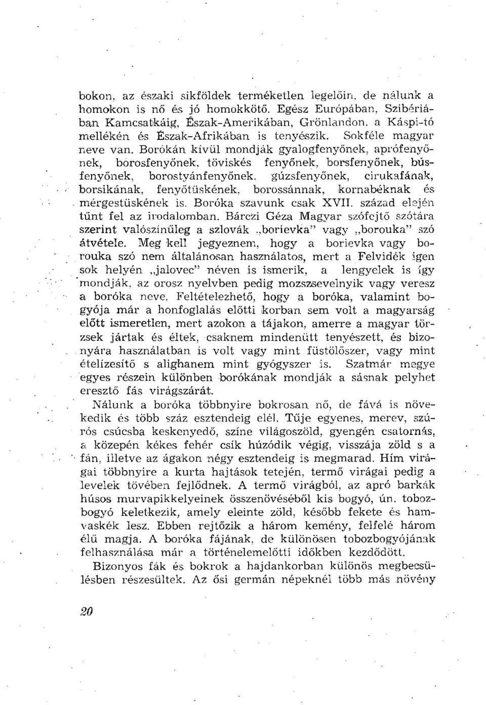 Borókán kívül mondják gyalogfenyőnek, aprófenyőnek, borosfenyőnek, töviskés fenyőnek, borsfenyőnek, búsfenyőnek, borostyánfenyőnek, gúzsfenyőnek, cirukafának, borsikának, fenyőtüskének, borossánnak,