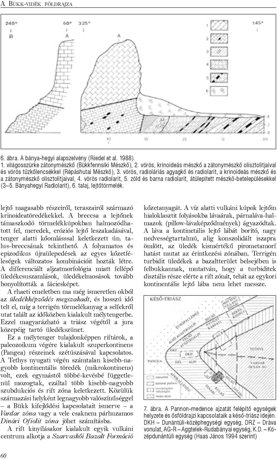 vörös, radioláriás agyagkő és radiolarit, a krinoideás mészkő és a zátonymészkő olisztolitjaival, 4. vörös radiolarit, 5. zöld és barna radiolarit, átülepített mészkő-betelepülésekkel (3 5.