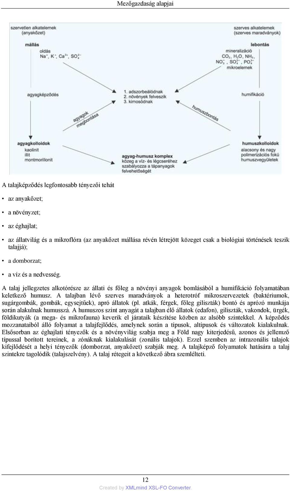 A talajban lévő szerves maradványok a heterotróf mikroszervezetek (baktériumok, sugárgombák, gombák, egysejtűek), apró állatok (pl.