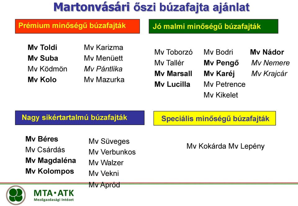 Karéj Mv Petrence Mv Nádor Mv Nemere Mv Krajcár Mv Kikelet Nagy sikértartalmú búzafajták Speciális minőségű