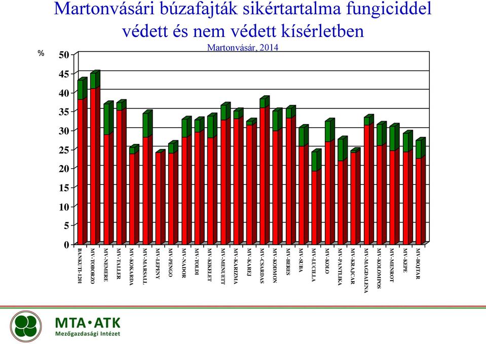 MV-LEPENY MV-MARSALL MV-KOKARDA MV-TALLER MV-NEMERE MV-TOBORZO BANKUTI-1201 % Martonvásári búzafajták