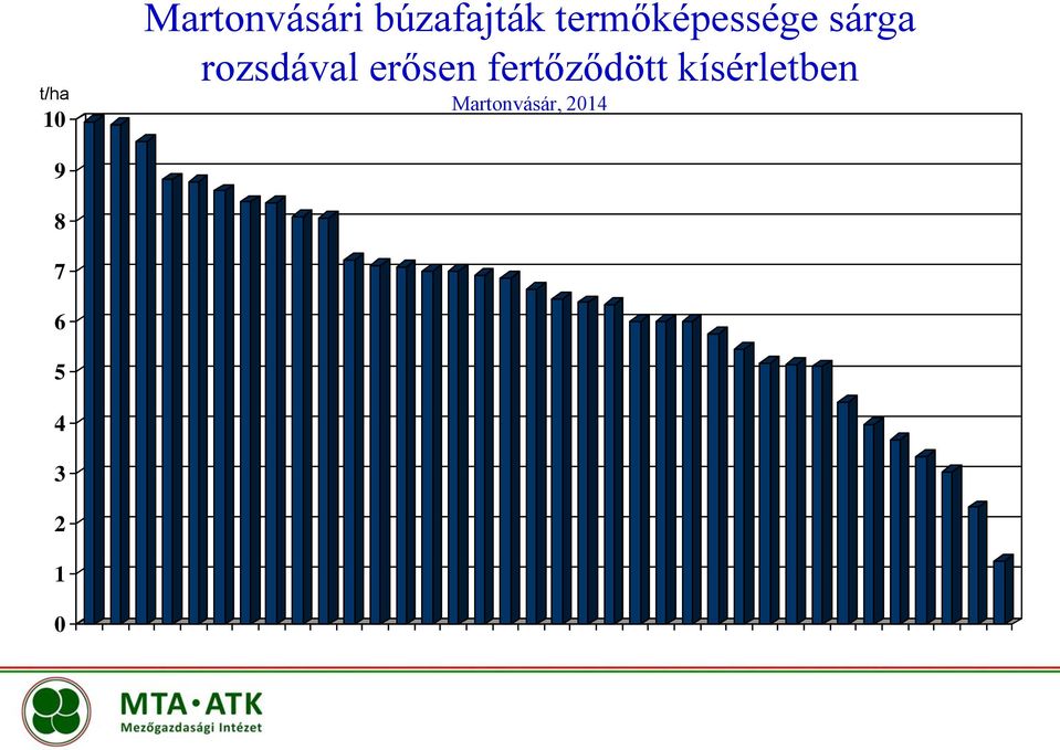 erősen fertőződött kísérletben