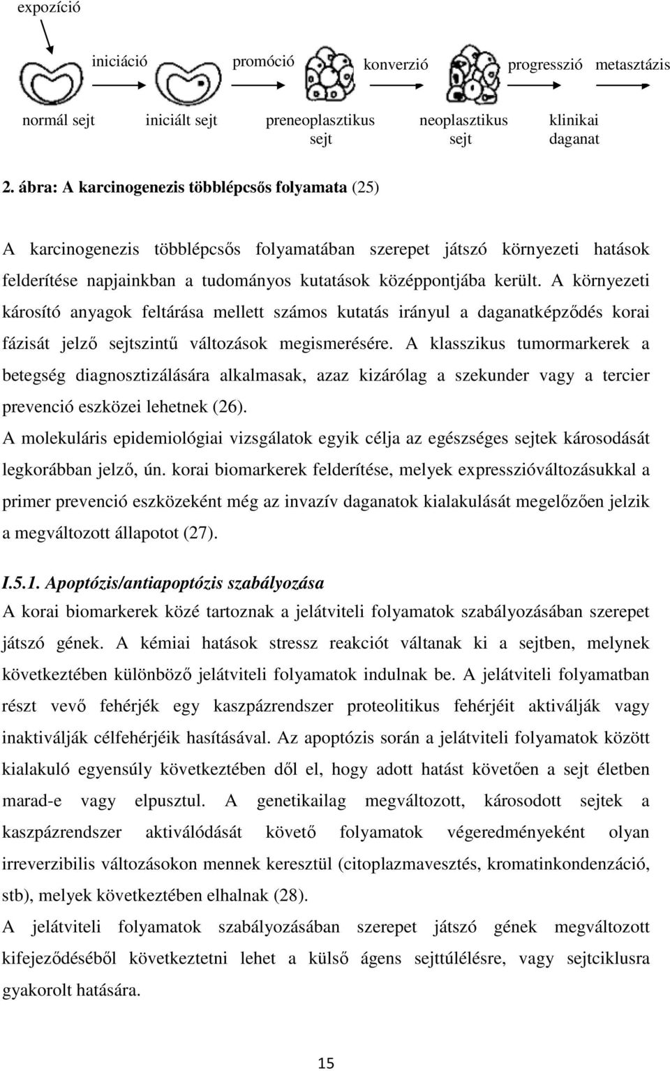 A környezeti károsító anyagok feltárása mellett számos kutatás irányul a daganatképződés korai fázisát jelző sejtszintű változások megismerésére.