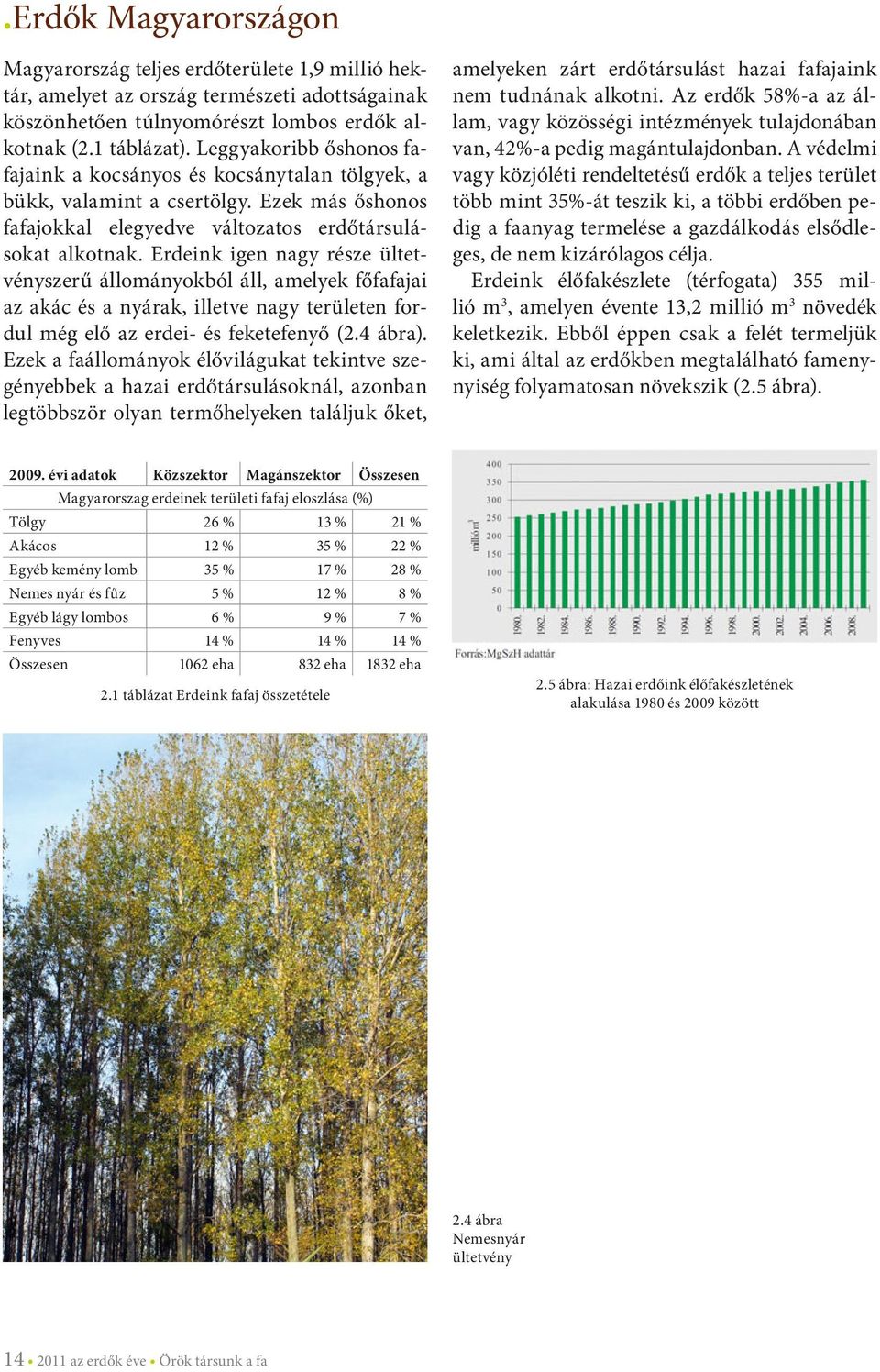 Erdeink igen nagy része ültetvényszerű állományokból áll, amelyek főfafajai az akác és a nyárak, illetve nagy területen fordul még elő az erdei- és feketefenyő (2.4 ábra).