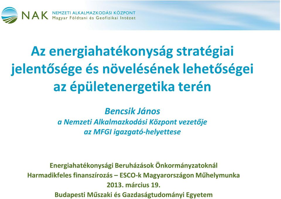 igazgató-helyettese Energiahatékonysági Beruházások Önkormányzatoknál Harmadikfeles