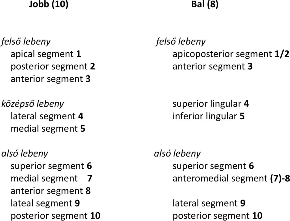 9 posterior segment 10 felső lebeny apicoposterior segment 1/2 anterior segment 3 superior lingular 4