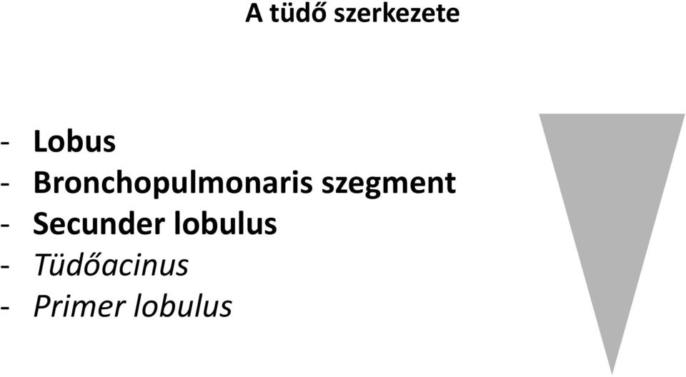 szegment - Secunder