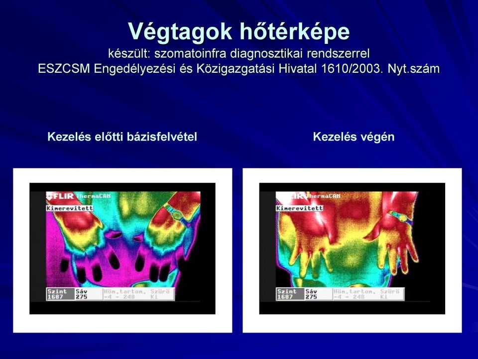 Engedélyezési és Közigazgatási Hivatal