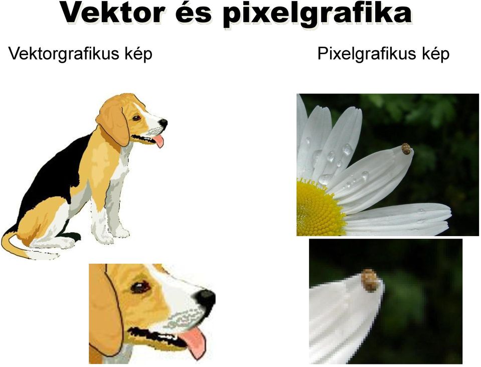 Vektorgrafikus