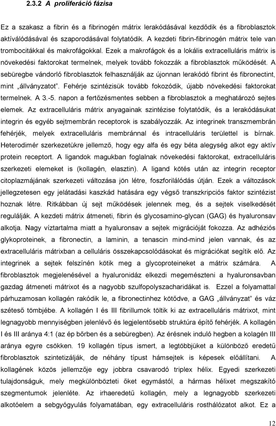 Ezek a makrofágok és a lokális extracelluláris mátrix is növekedési faktorokat termelnek, melyek tovább fokozzák a fibroblasztok működését.