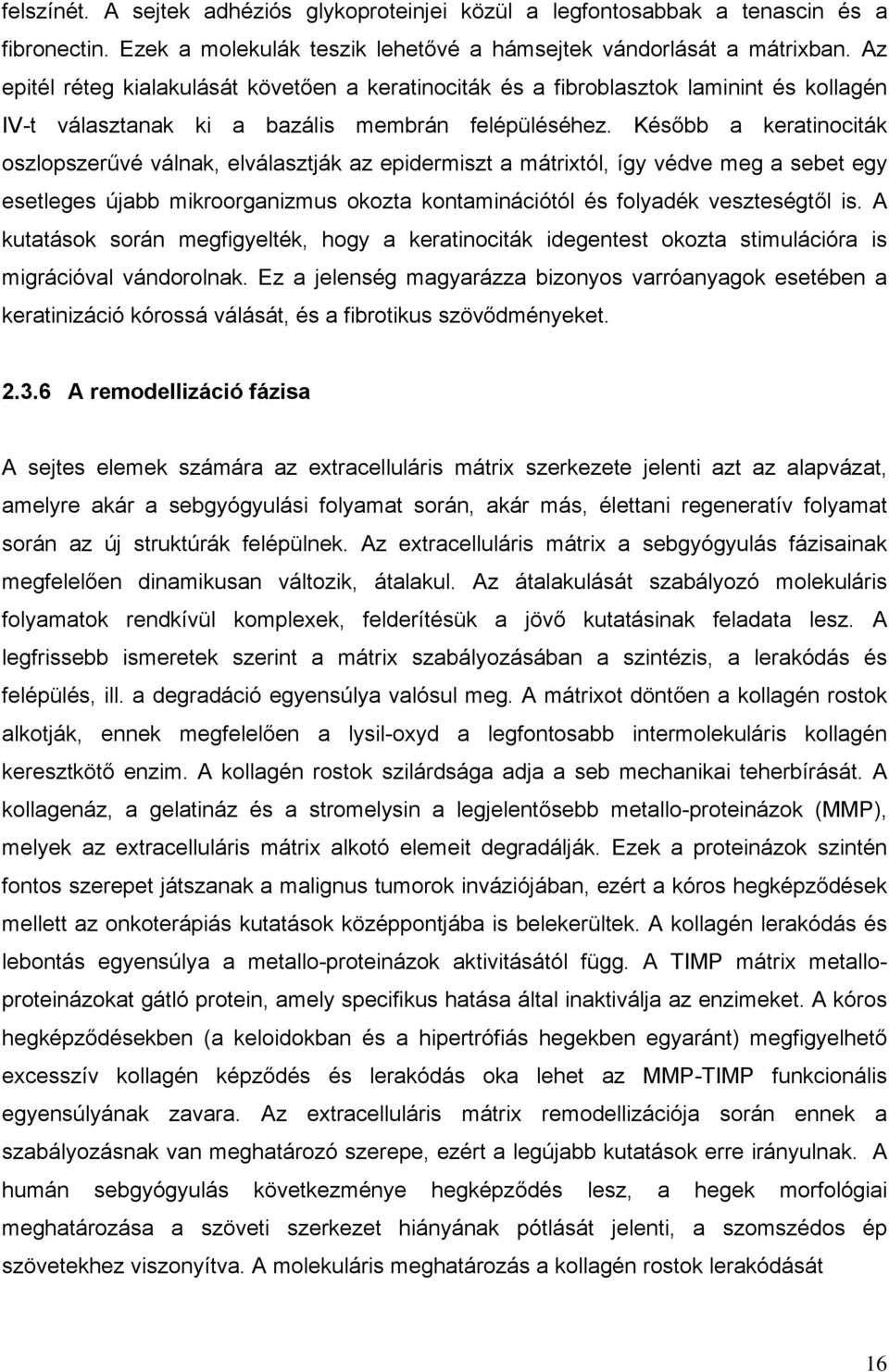 Később a keratinociták oszlopszerűvé válnak, elválasztják az epidermiszt a mátrixtól, így védve meg a sebet egy esetleges újabb mikroorganizmus okozta kontaminációtól és folyadék veszteségtől is.