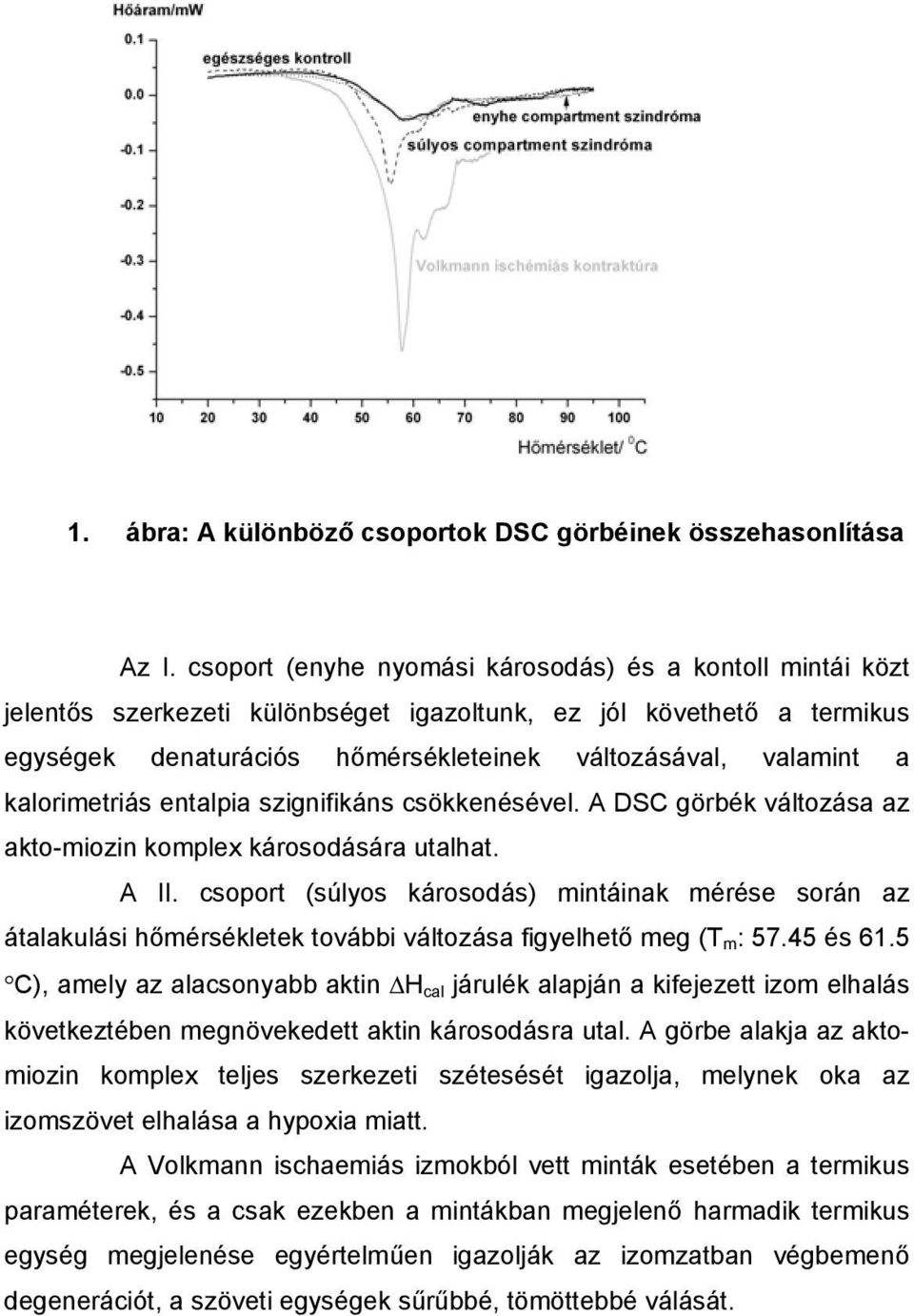 kalorimetriás entalpia szignifikáns csökkenésével. A DSC görbék változása az akto-miozin komplex károsodására utalhat. A II.