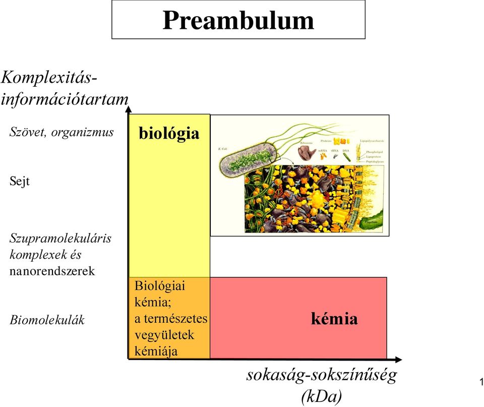 és nanorendszerek Biomolekulák Biológiai kémia; a