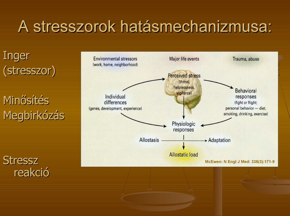 (stresszor) Minősítés Megbirkózás