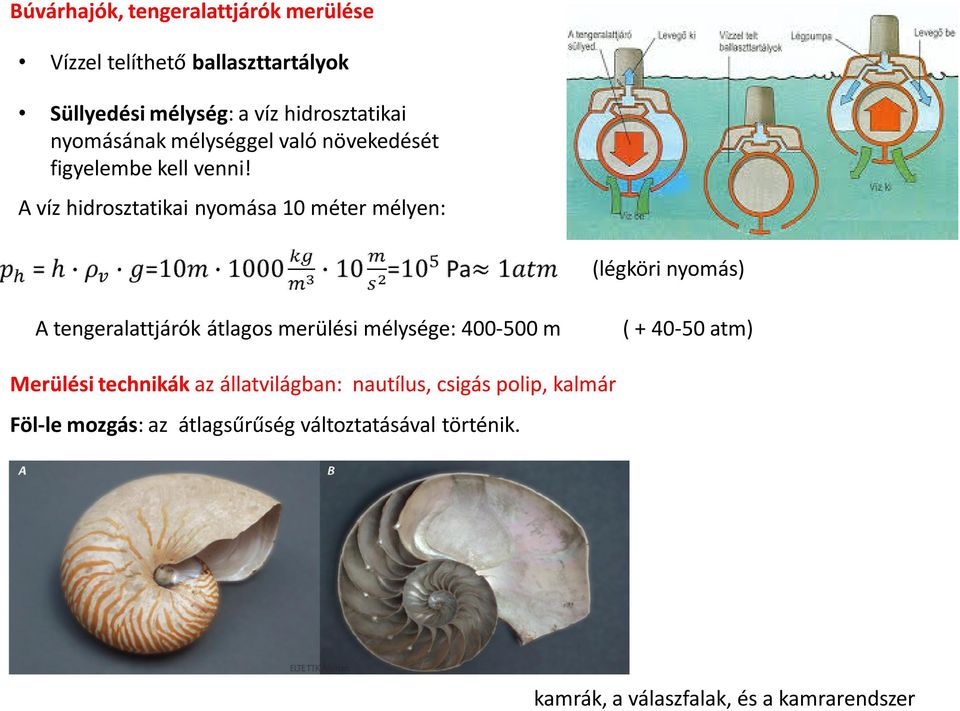 A víz hidrosztatikai nyomása 10 méter mélyen: (légköri nyomás) A tengeralattjárók átlagos merülési mélysége: 400-500 m