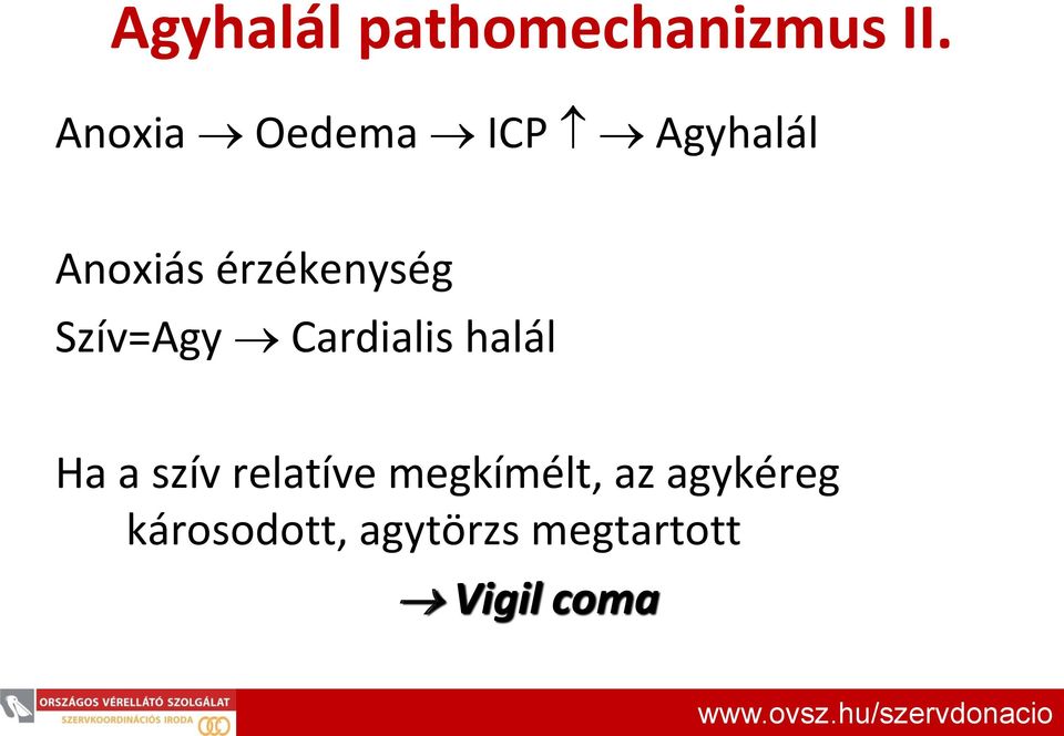 Szív=Agy Cardialis halál Ha a szív relatíve