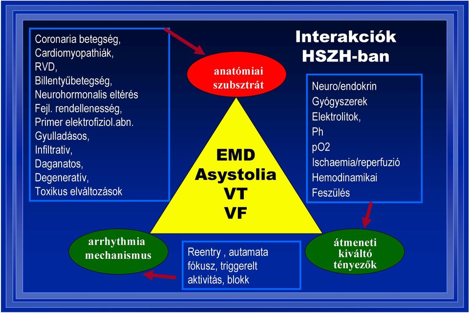 Gyulladásos, Infiltrativ, Daganatos, Degeneratív, Toxikus elváltozások arrhythmia mechanismus anatómiai szubsztrát