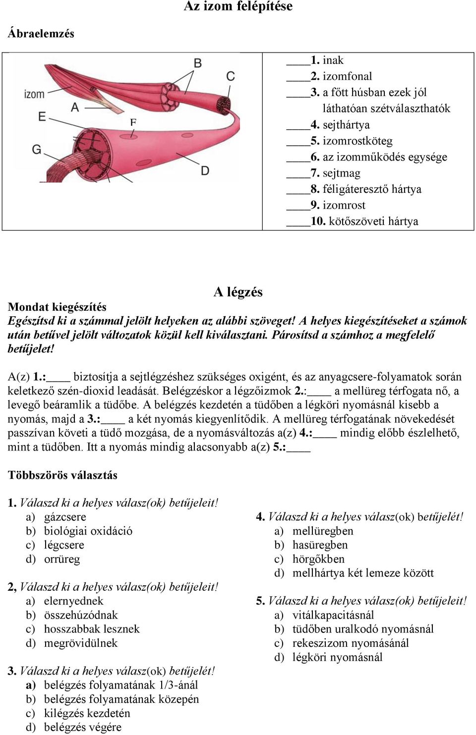 A helyes kiegészítéseket a számok után betűvel jelölt változatok közül kell kiválasztani. Párosítsd a számhoz a megfelelő betűjelet! A(z) 1.