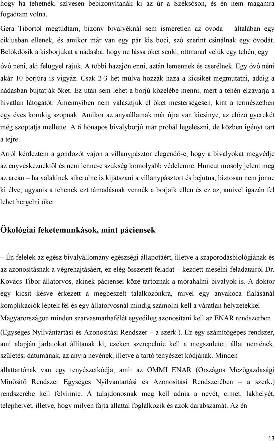 Belökdösik a kisborjúkat a nádasba, hogy ne lássa őket senki, ottmarad velük egy tehén, egy óvó néni, aki felügyel rájuk. A többi hazajön enni, aztán lemennek és cserélnek.