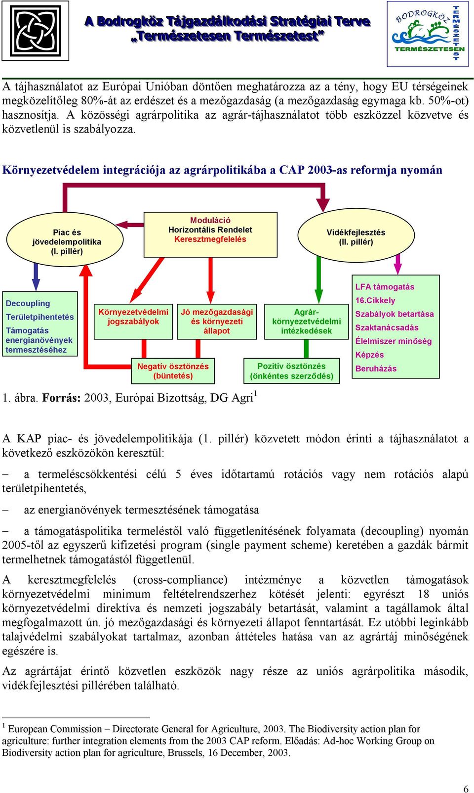 Környezetvédelem integrációja az agrárpolitikába a CAP 2003-as reformja nyomán Piac és jövedelempolitika (I. pillér) Moduláció Horizontális Rendelet Keresztmegfelelés Vidékfejlesztés (II.