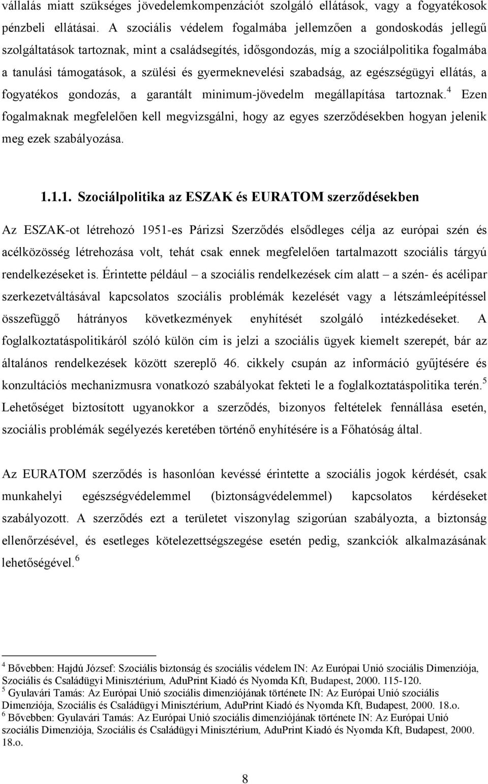 gyermeknevelési szabadság, az egészségügyi ellátás, a fogyatékos gondozás, a garantált minimum-jövedelm megállapítása tartoznak.