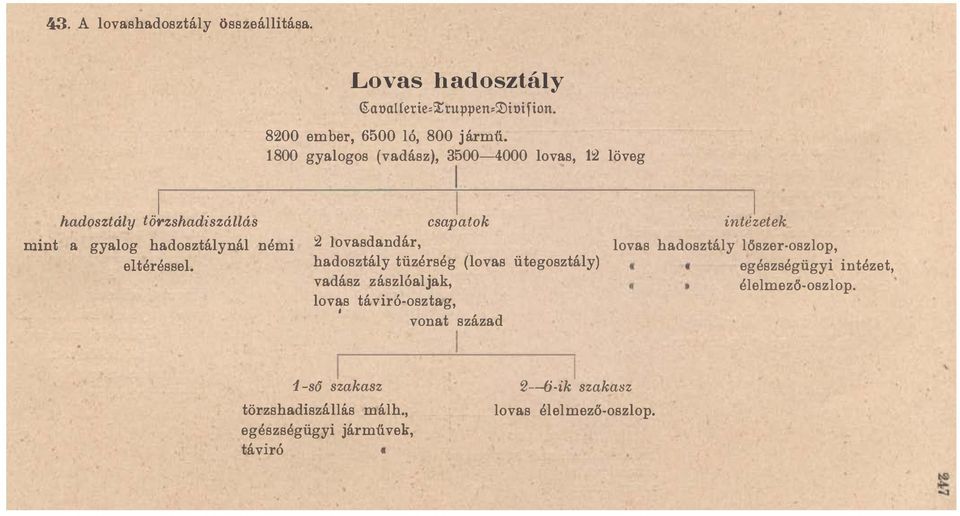 1ovasdandár hadosztály tüzérség (lovas ütegosztály) vadász zászlóaljak lovas táviró-osztag vonat század 1 -ső szakasz