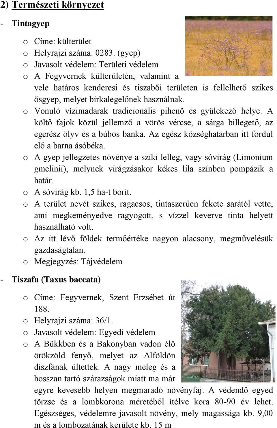 o Vonuló vízimadarak tradicionális pihenő és gyülekező helye. A költő fajok közül jellemző a vörös vércse, a sárga billegető, az egerész ölyv és a búbos banka.