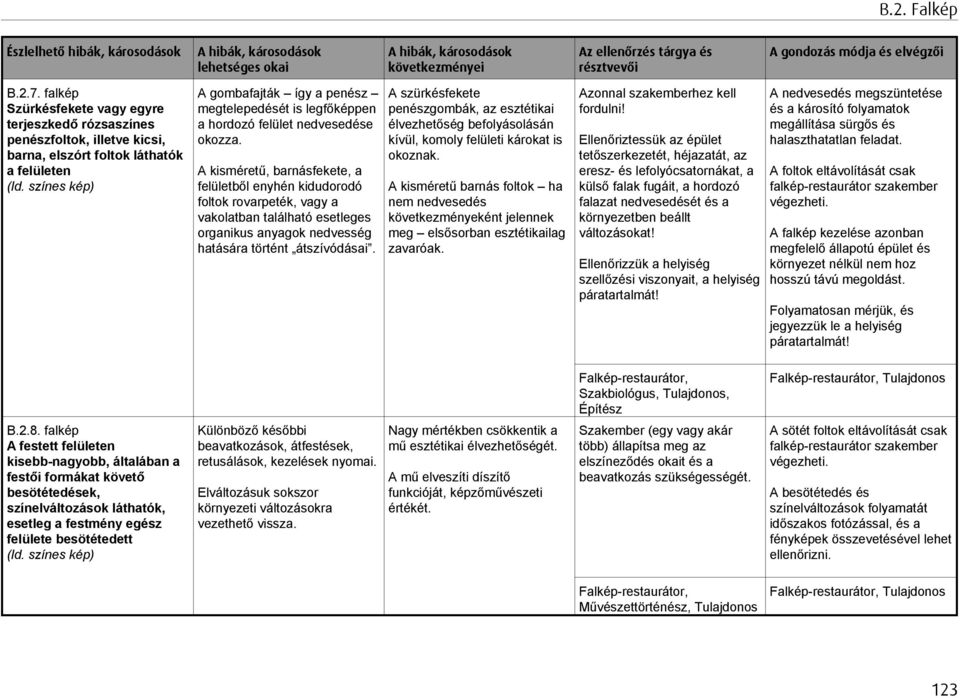 A kisméretű, barnásfekete, a felületből enyhén kidudorodó foltok rovarpeték, vagy a vakolatban található esetleges organikus anyagok nedvesség hatására történt átszívódásai.