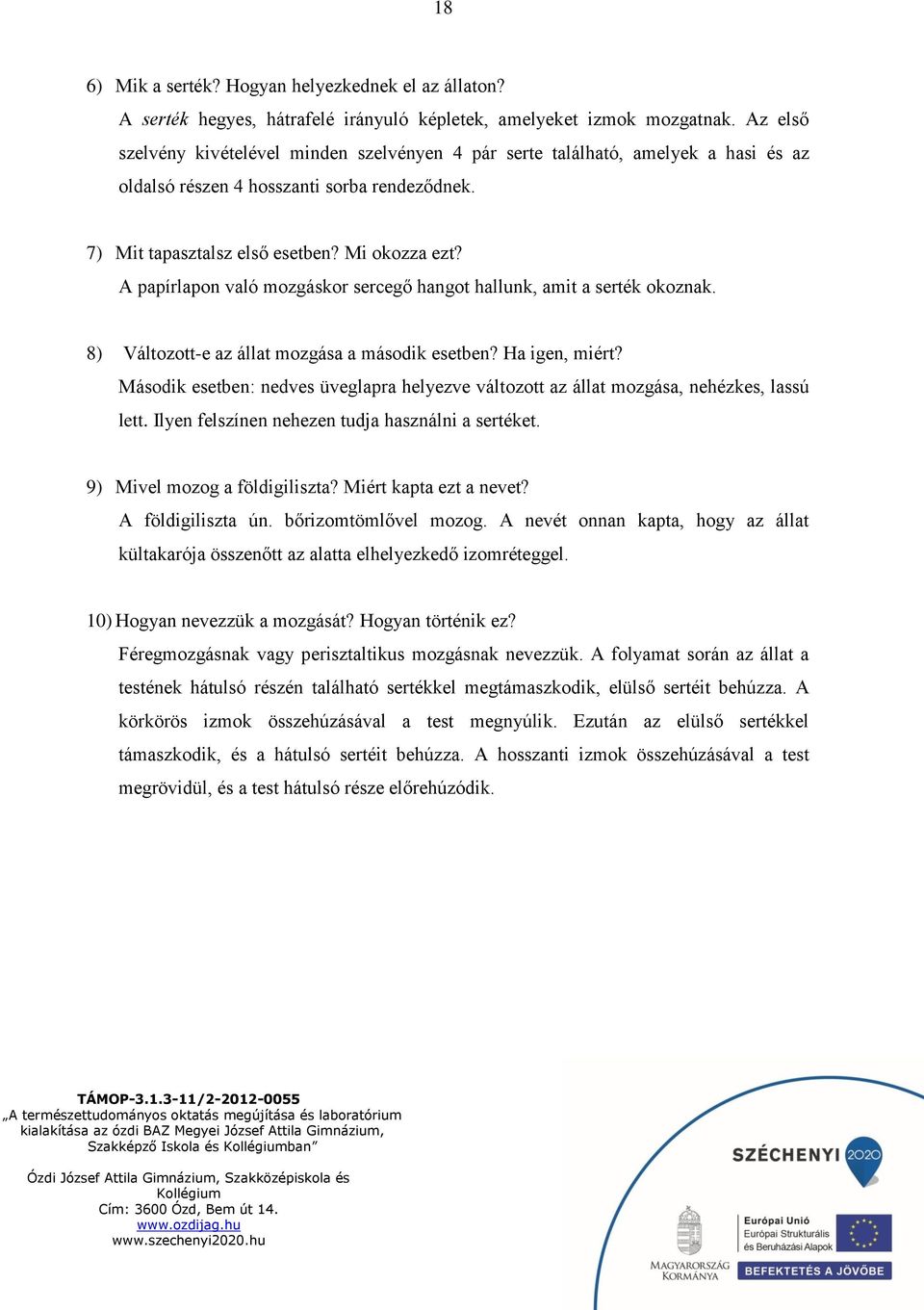 A papírlapon való mozgáskor sercegő hangot hallunk, amit a serték okoznak. 8) Változott-e az állat mozgása a második esetben? Ha igen, miért?