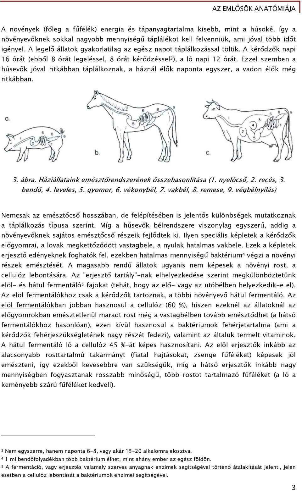 Ezzel szemben a húsevők jóval ritkábban táplálkoznak, a háznál élők naponta egyszer, a vadon élők még ritkábban. 3. ábra. Háziállataink emésztőrendszerének összehasonlítása (1. nyelőcső, 2. recés, 3.