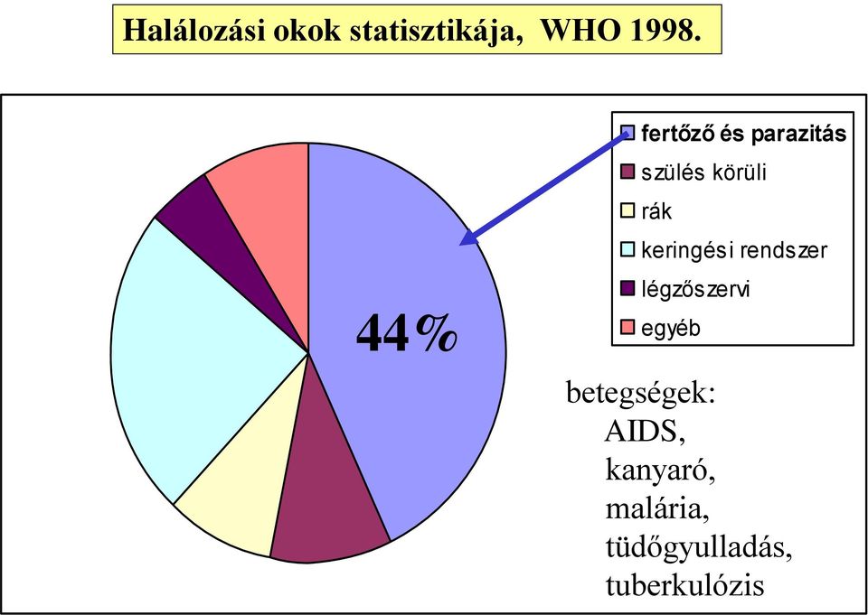 keringési rendszer légzőszervi egyéb