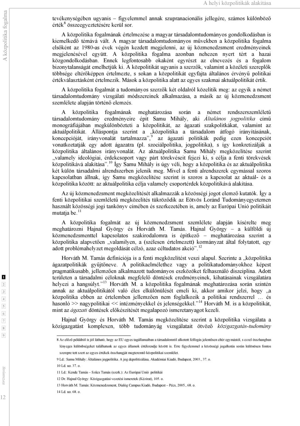 A magyar társadalomtudományos művekben a közpolitika fogalma elsőként az 0-as évek végén kezdett megjelenni, az új közmenedzsment eredményeinek megjelenésével együtt.