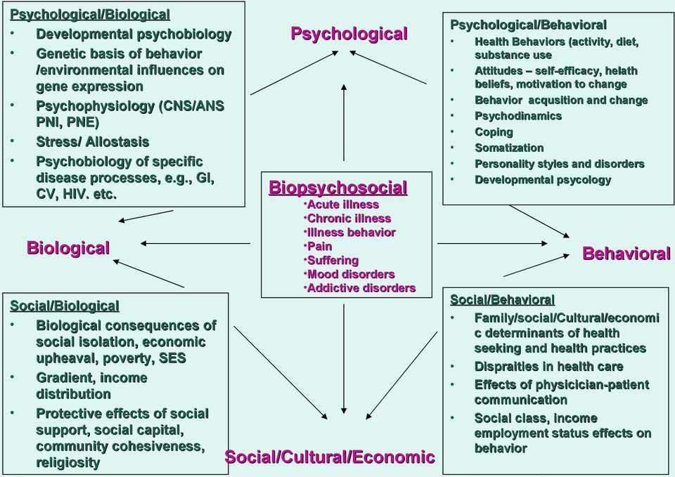 Biological Social/Biological Biological consequences of social isolation, economic upheaval, poverty, SES Gradient, income distribution Protective effects of social support, social capital, community