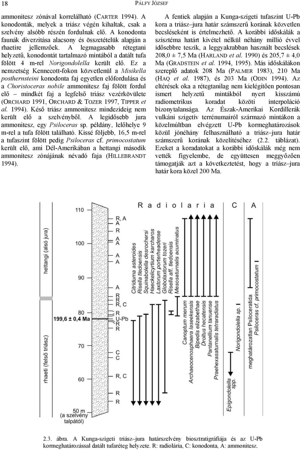 A legmagasabb rétegtani helyzetű, konodontát tartalmazó mintából a datált tufa fölött 4 m-rel Norigondolella került elő.