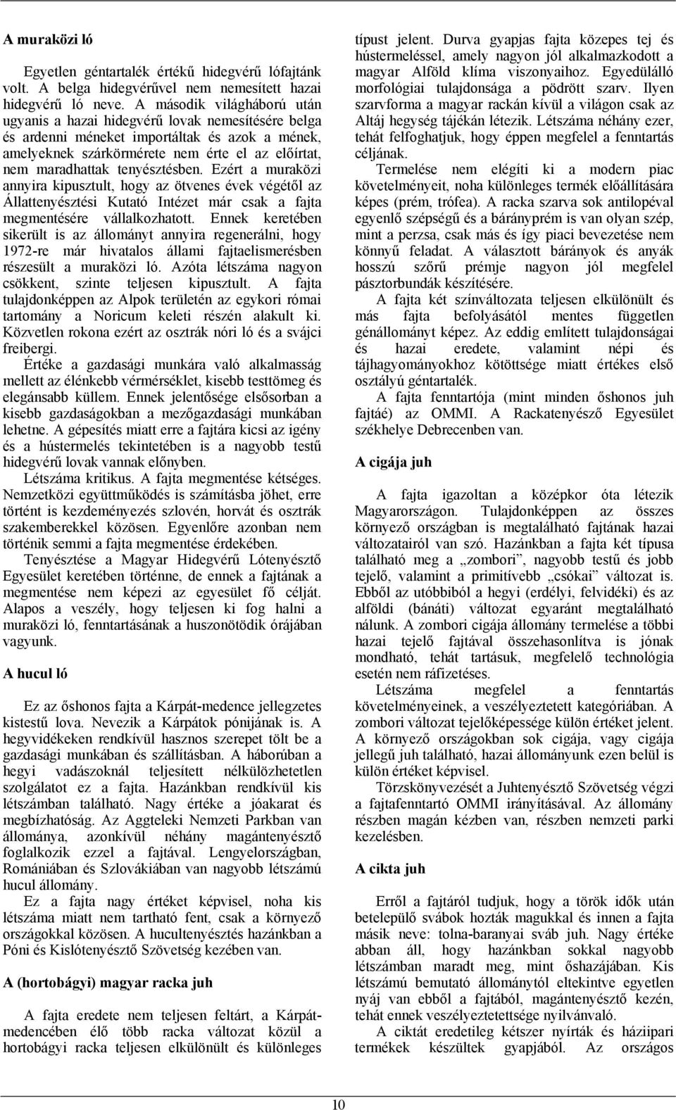 tenyésztésben. Ezért a muraközi annyira kipusztult, hogy az ötvenes évek végétől az Állattenyésztési Kutató Intézet már csak a fajta megmentésére vállalkozhatott.