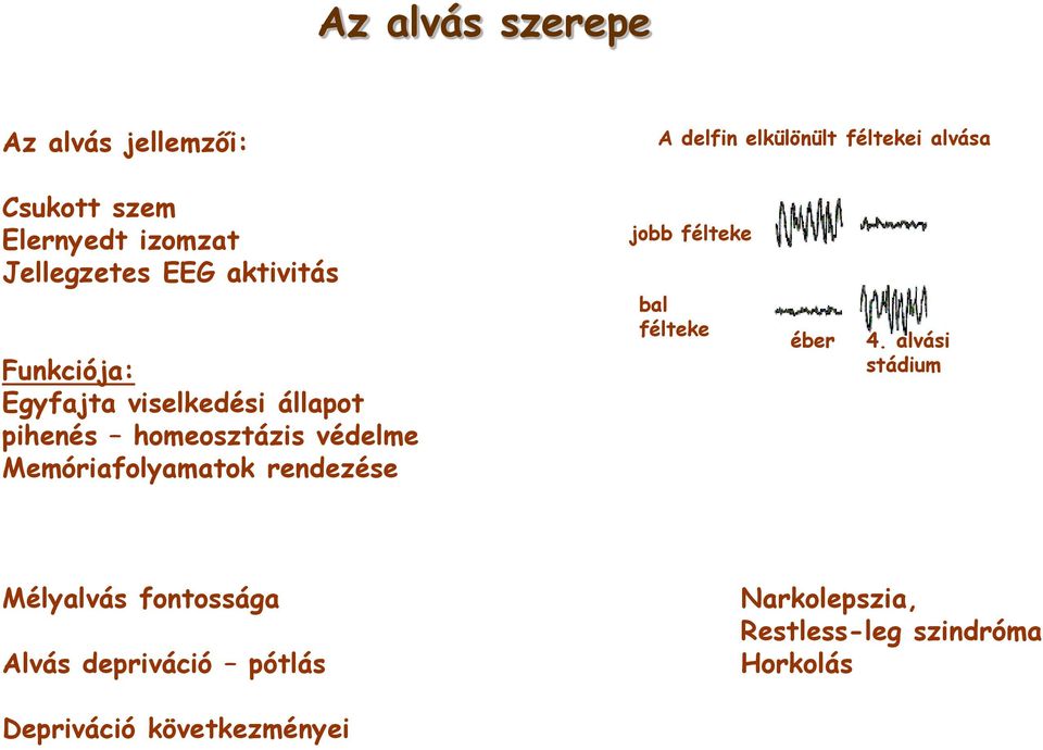 védelme Memóriafolyamatok rendezése jobb félteke bal félteke éber 4.