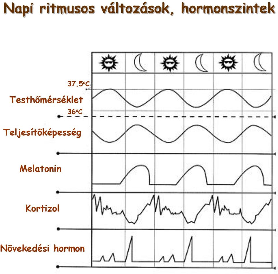 Testhőmérséklet 36 o C