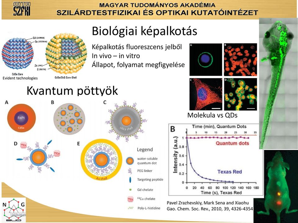 folyamat megfigyelése Molekula vs QDs Pavel Zrazhevskiy,