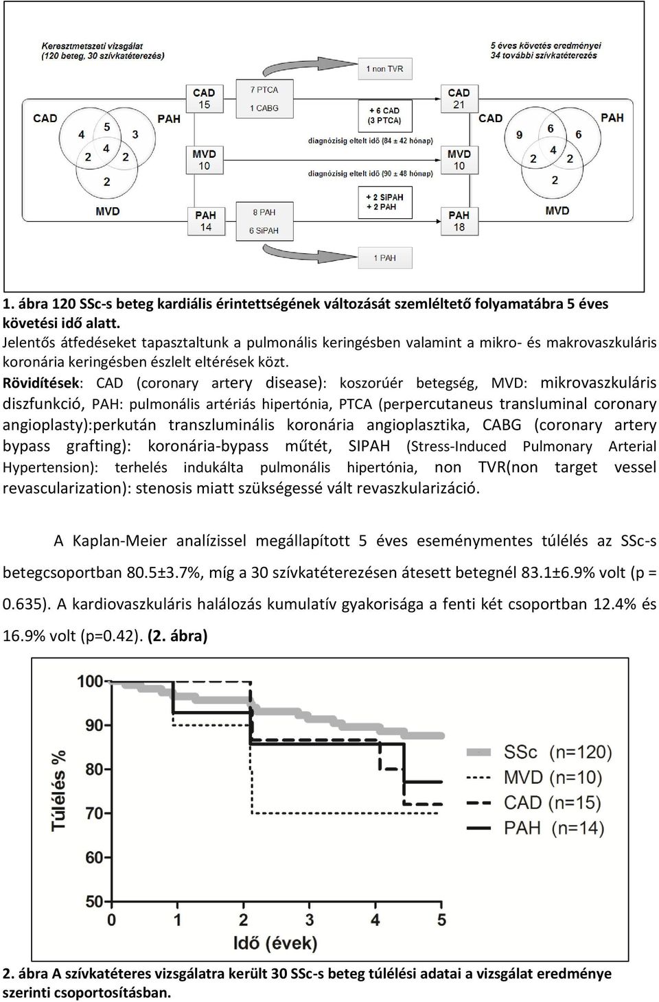 Rövidítések: CAD (coronary artery disease): koszorúér betegség, MVD: mikrovaszkuláris diszfunkció, PAH: pulmonális artériás hipertónia, PTCA (perpercutaneus transluminal coronary