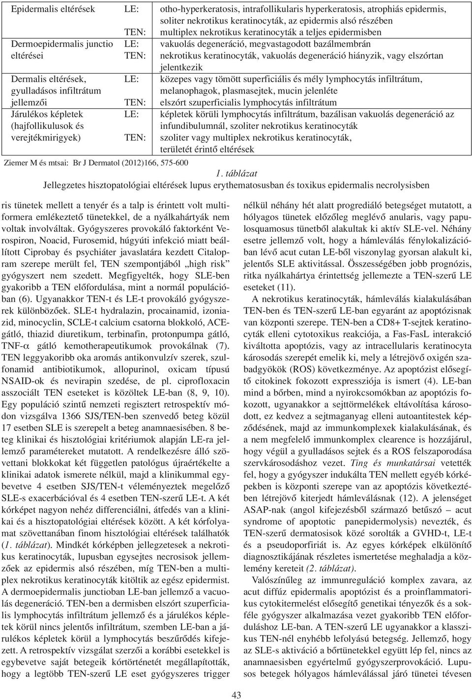 elszórtan jelentkezik Dermalis eltérések, LE: közepes vagy tömött superficiális és mély lymphocytás infiltrátum, gyulladásos infiltrátum melanophagok, plasmasejtek, mucin jelenléte jellemzôi TEN: