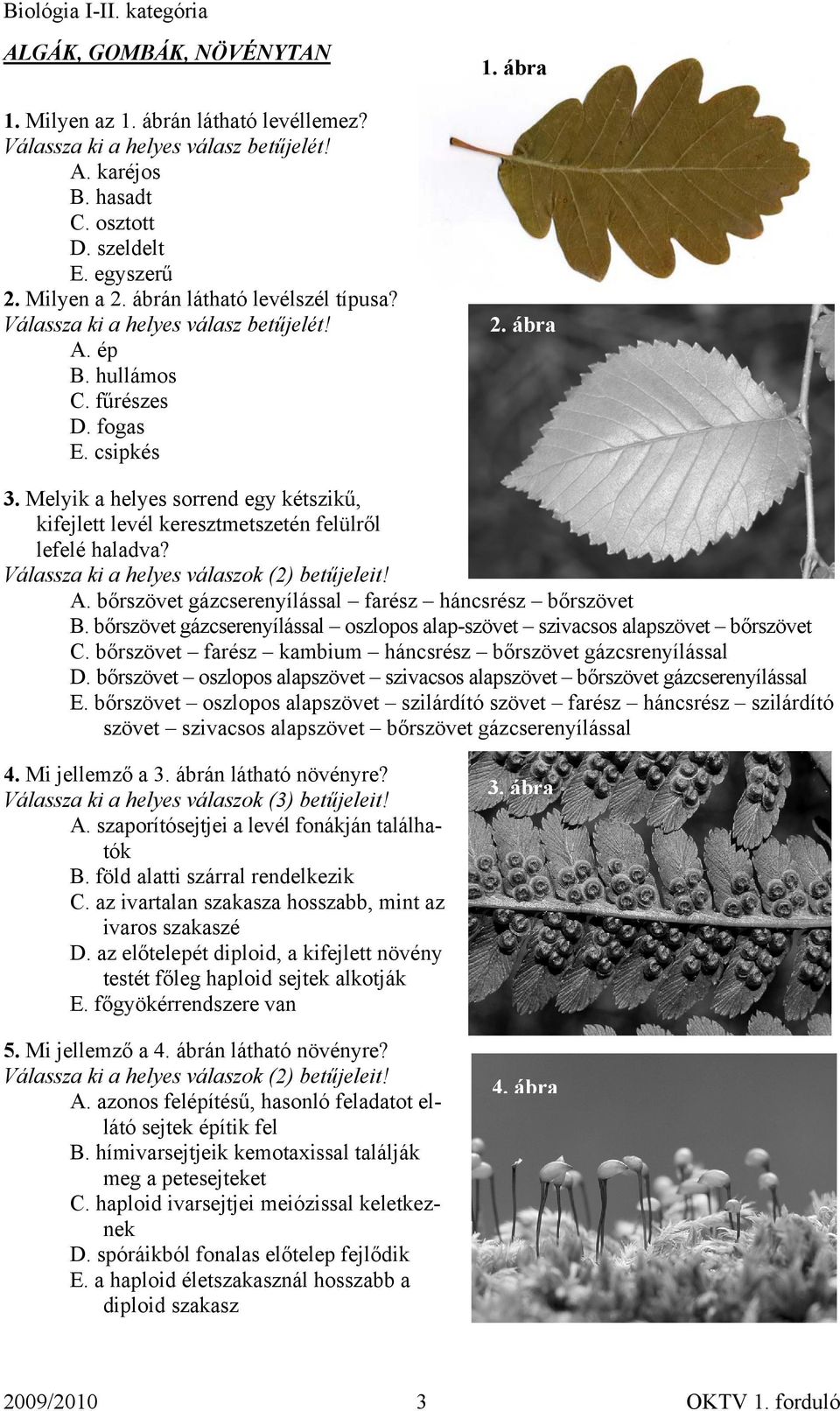 bőrszövet gázcserenyílással farész háncsrész bőrszövet B. bőrszövet gázcserenyílással oszlopos alap-szövet szivacsos alapszövet bőrszövet C.