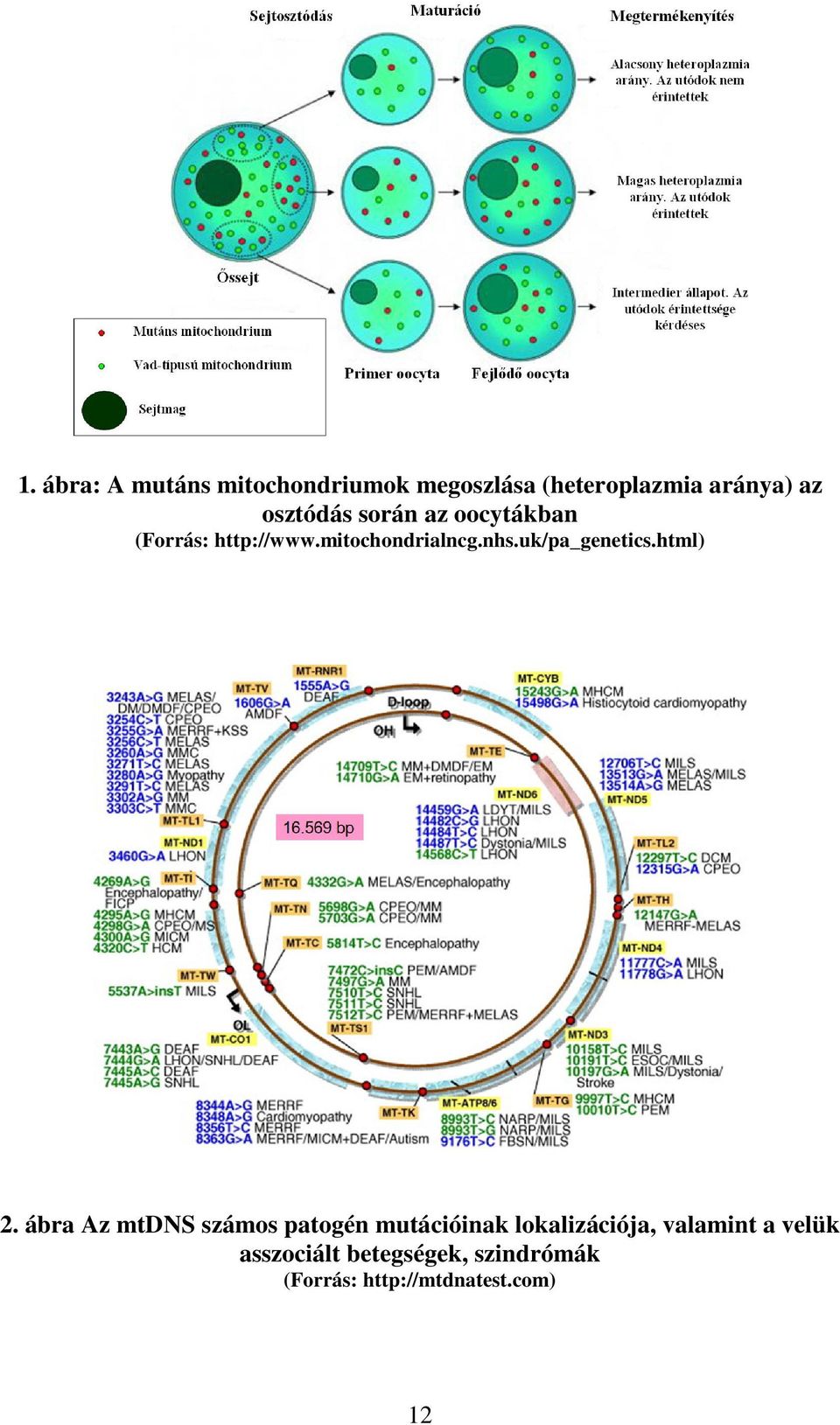 uk/pa_genetics.html) 2.