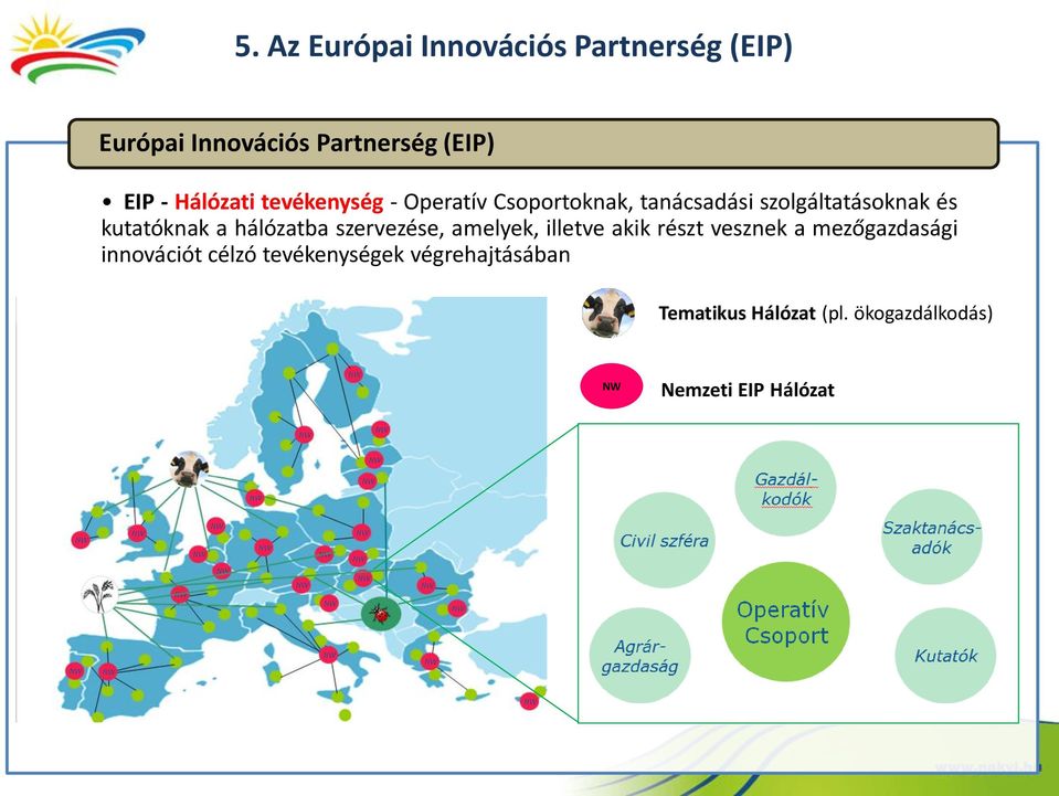 a hálózatba szervezése, amelyek, illetve akik részt vesznek a mezőgazdasági innovációt