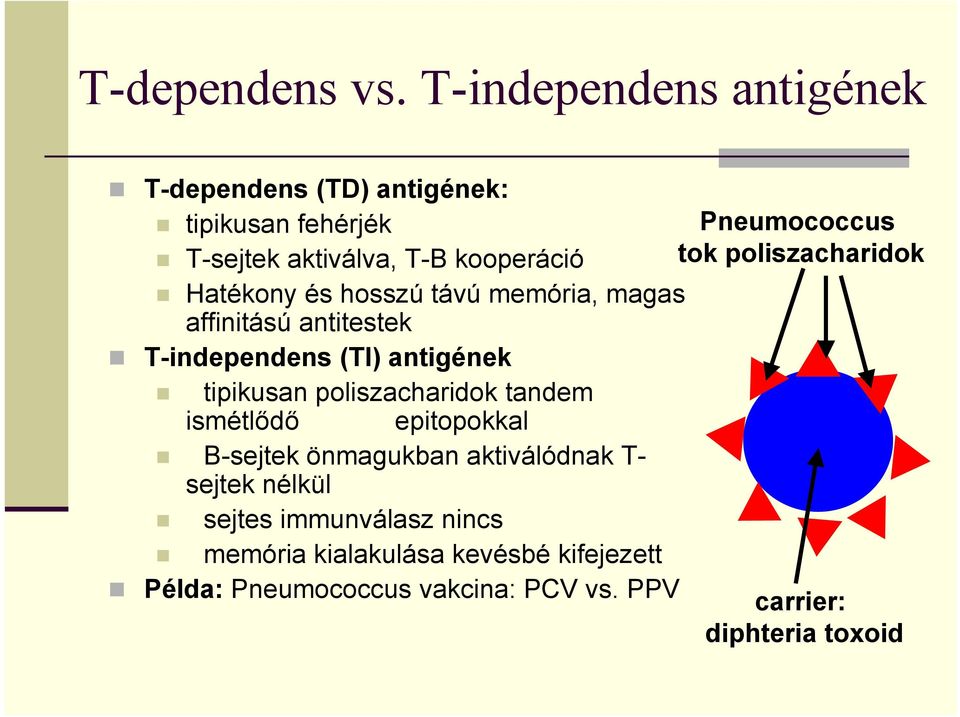 tok poliszacharidok Hatékony és hosszú távú memória, magas affinitású antitestek T-independens (TI) antigének tipikusan