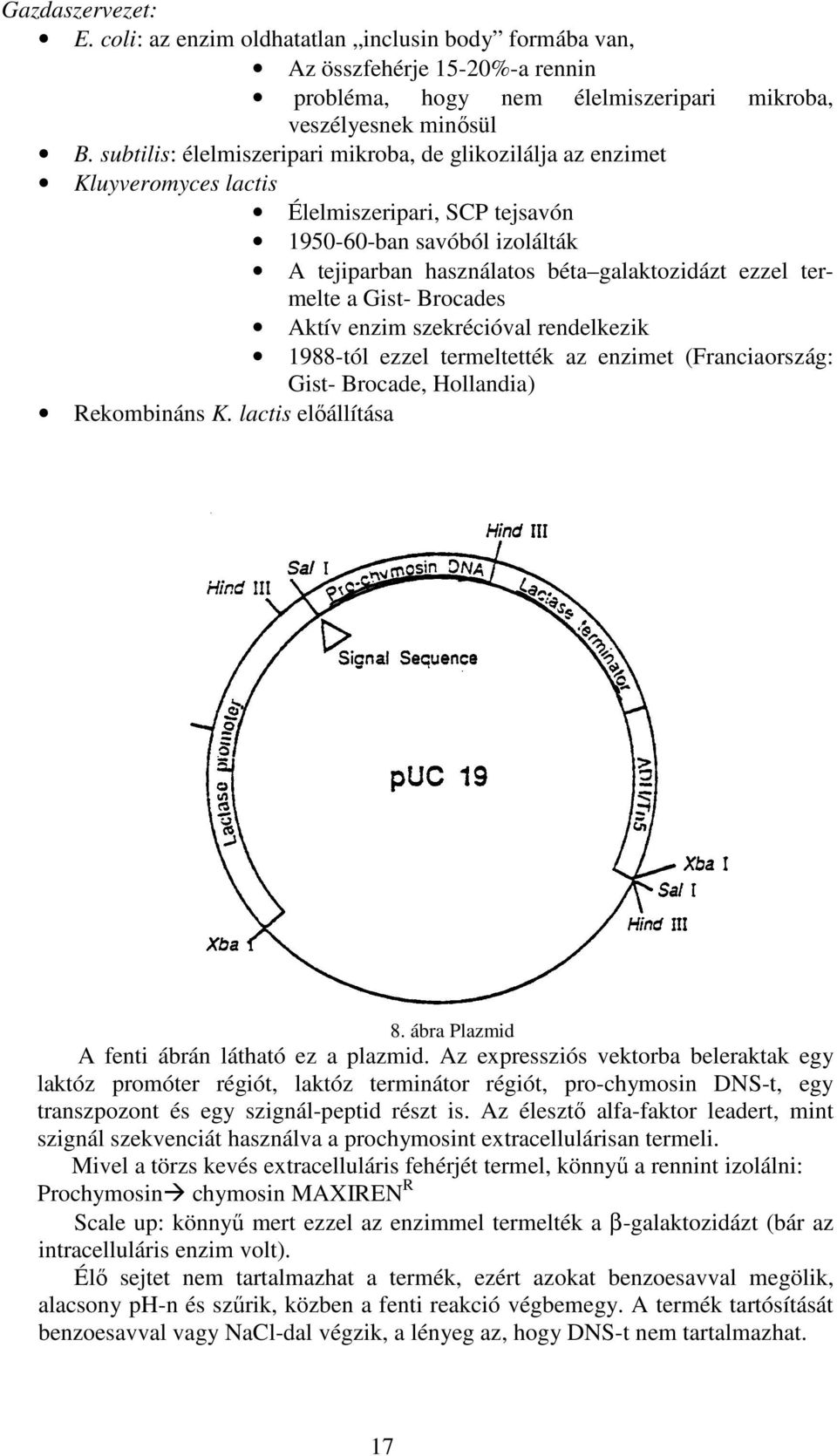 termelte a Gist- Brocades Aktív enzim szekrécióval rendelkezik 1988-tól ezzel termeltették az enzimet (Franciaország: Gist- Brocade, Hollandia) Rekombináns K. lactis előállítása 8.