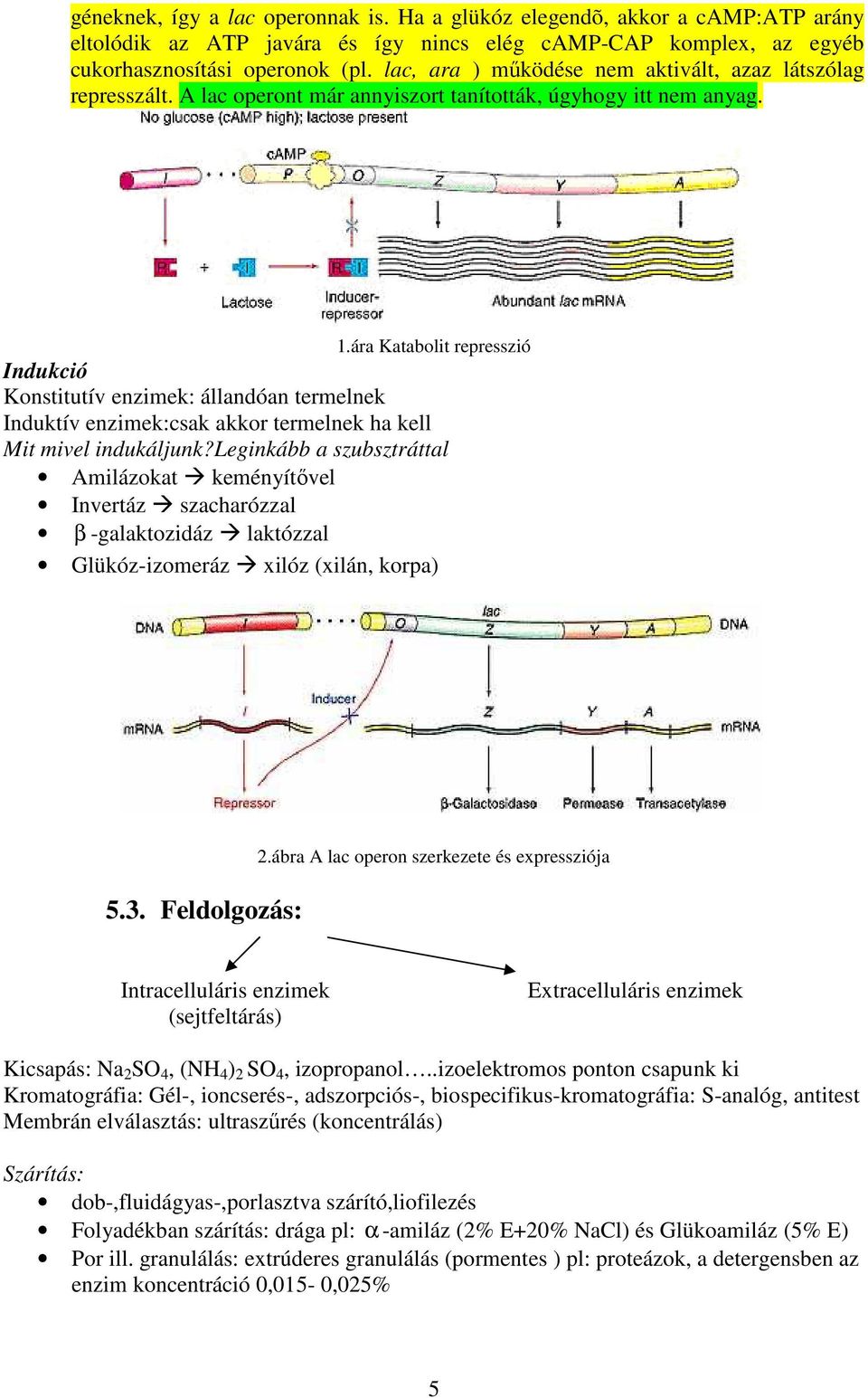 ára Katabolit represszió Indukció Konstitutív enzimek: állandóan termelnek Induktív enzimek:csak akkor termelnek ha kell Mit mivel indukáljunk?